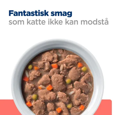 Fantastisk smag som katte ikke kan modstå. Skål med vådfoder til kat, synlige kødstykker, gulerødder og ærter.