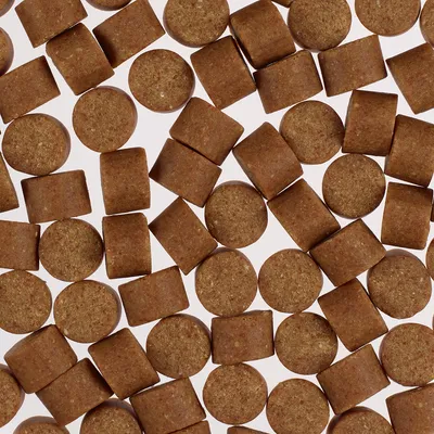 Concept for Life Immune System Support Supplements Chews