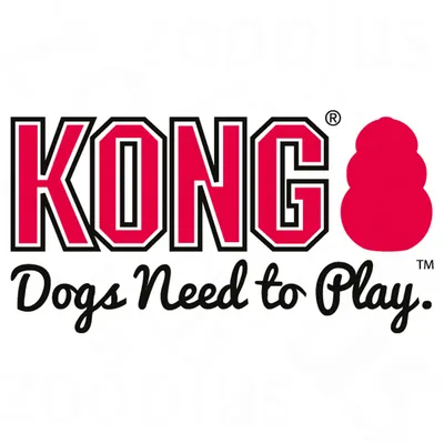 KONG Dogs Need to Play. Rød silhuet af KONG-legetøj ved siden af teksten. Tekst på engelsk.