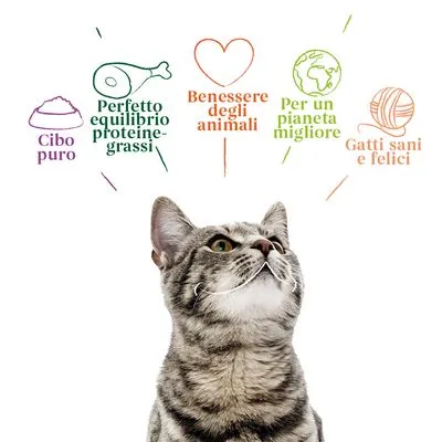 Yarrah Bio Filetti in Salsa 14 x 85 g