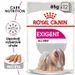 Royal Canin Exigent Mousse