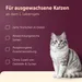 Sparpaket Animonda Vom Feinsten Adult Raffinesse in Gelee 48 x 85 g