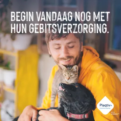 Tekst in beeld: Begin vandaag nog met hun gebitsverzorging. Plaqtiv+ mondverzorging met XPERSIV. Tekst in beeld: Begin vandaag nog met hun gebitsverzorging. Plaqtiv+ mondverzorging met XPERSIV.