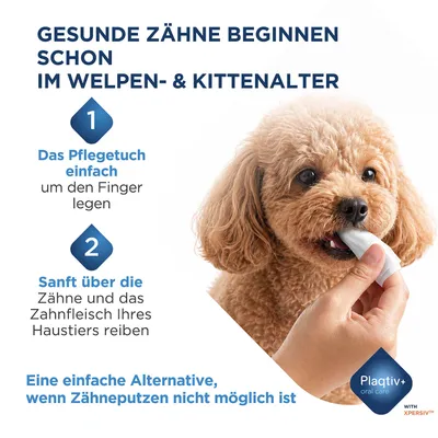 Anleitung: Pflegetuch um den Finger legen, sanft über Zähne und Zahnfleisch des Haustiers reiben. Einfache Alternative, wenn Zähneputzen nicht möglich ist. Plqativ+ oral care. Anleitung: Pflegetuch um den Finger legen, sanft über Zähne und Zahnfleisch des Haustiers reiben. Einfache Alternative, wenn Zähneputzen nicht möglich ist. Plqativ+ oral care.