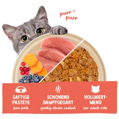 Sanabelle Freshe Mieze 10 x 100 g - Pute & Huhn Sanabelle Freshe Mieze 10 x 100 g - Pute & Huhn