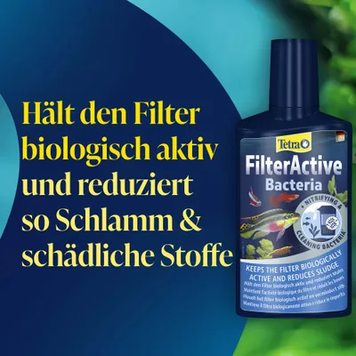 Tetra FilterActive Bactéries : Maintient le filtre biologiquement actif et réduit la vase ainsi que les substances nocives. Tetra FilterActive Bactéries : Maintient le filtre biologiquement actif et réduit la vase ainsi que les substances nocives.