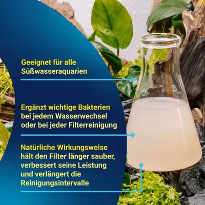 Convient à tous les aquariums d'eau douce. Complète les bactéries essentielles à chaque changement d'eau ou nettoyage du filtre. Son action naturelle permet de garder le filtre propre plus longtemps. Convient à tous les aquariums d'eau douce. Complète les bactéries essentielles à chaque changement d'eau ou nettoyage du filtre. Son action naturelle permet de garder le filtre propre plus longtemps.