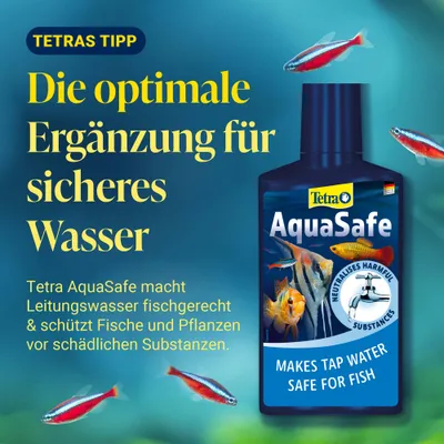 Tetra AquaSafe rend l'eau du robinet adaptée aux poissons et protège poissons ainsi que plantes contre les substances nocives. Complément optimal pour une eau sûre. Tetra AquaSafe rend l'eau du robinet adaptée aux poissons et protège poissons ainsi que plantes contre les substances nocives. Complément optimal pour une eau sûre.