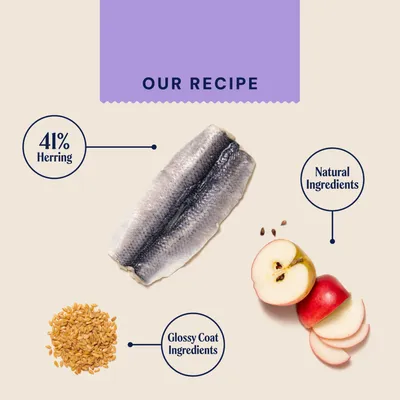 Recipe with 41% herring, natural ingredients and nutrients for a shiny coat. Shown: herring, apple pieces, linseed. Recipe with 41% herring, natural ingredients and nutrients for a shiny coat. Shown: herring, apple pieces, linseed.
