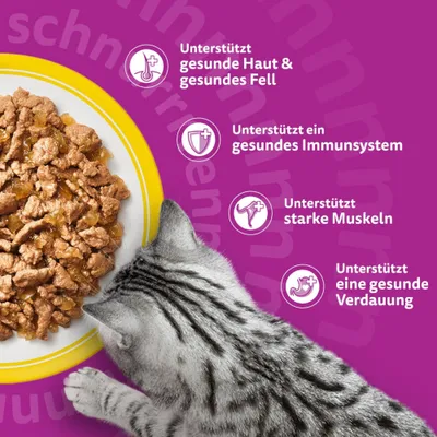 Whiskas 1+ Adult Frischebeutel 40 x 85 g - Geflügel in Gelee (4 Sorten) Whiskas 1+ Adult Frischebeutel 40 x 85 g - Geflügel in Gelee (4 Sorten)