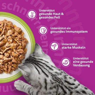 Whiskas 1+ Adult Frischebeutel 40 x 85 g - Mixed Menu in Gelee (4 Sorten) Whiskas 1+ Adult Frischebeutel 40 x 85 g - Mixed Menu in Gelee (4 Sorten)