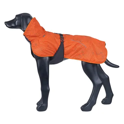 Cappotto per cani arancione con cintura addominale nera su modello di cane, mantello con motivo e colletto alto.