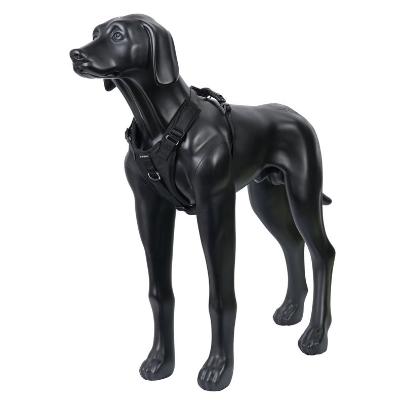 Icepeak Pet Tour Autogeschirr, schwarz