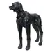 Icepeak Pet Tour Autogeschirr, schwarz