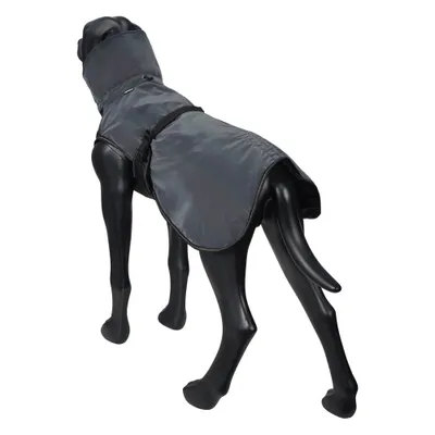 Cappotto nero con copricollo su un modello di cane, fissato lateralmente con una cintura regolabile.