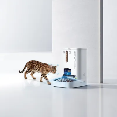 Petkit YumShare Dual-Hopper 2 s AI kamerou - D 31,6 x Š 18,6 x V 29,6 cm Petkit YumShare Dual-Hopper 2 s AI kamerou - D 31,6 x Š 18,6 x V 29,6 cm