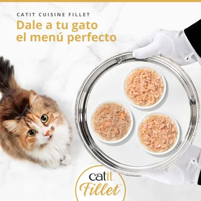 CATIT CUISINE FILLET. Dale a tu gato el menú perfecto. Tres cuencos con comida húmeda Catit Fillet en una bandeja, gato al lado. CATIT CUISINE FILLET. Dale a tu gato el menú perfecto. Tres cuencos con comida húmeda Catit Fillet en una bandeja, gato al lado.