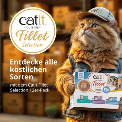 Découvrez toutes les délicieuses variétés avec le pack de 12 Catit Fillet Selection. Emballage illustrant différentes variétés de filets de thon. Découvrez toutes les délicieuses variétés avec le pack de 12 Catit Fillet Selection. Emballage illustrant différentes variétés de filets de thon.