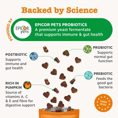 EPICOR PETS PROBIOTICS: Prémiový kvasnicový koncentrát pro podporu imunitního systému a zdraví střev. Obsahuje postbiotika, probiotika, prebiotika a dýni. Vyrobeno v EU.