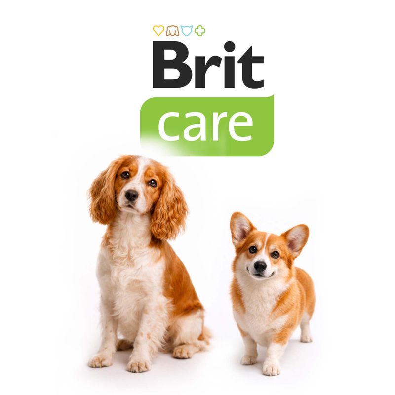 12 + 3 кг в подарок! Brit Care Dog Hypoallergenic Adult, сухой корм для собак , 15 кг