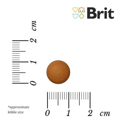Brit Care Dog Grain-free Puppy losos & krompir