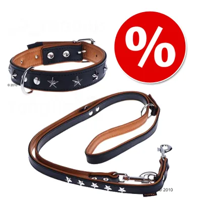 Heim Stars læderhalsbånd & hundesnor