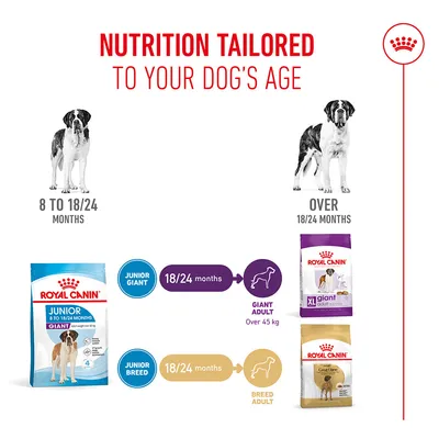 Feeding recommendation: Royal Canin Junior Giant for 8 to 18/24 months, from 18/24 months Giant Adult over 45 kg, or Breed Adult. Age-appropriate nutrition for dogs. Feeding recommendation: Royal Canin Junior Giant for 8 to 18/24 months, from 18/24 months Giant Adult over 45 kg, or Breed Adult. Age-appropriate nutrition for dogs.