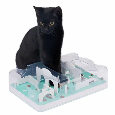 Black cat demonstrates interactive feeding toy with obstacles and compartments for dry food.