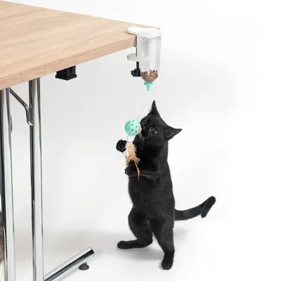 Gatto nero gioca con un gioco fissato a un distributore di cibo montato sul bordo di un tavolo.