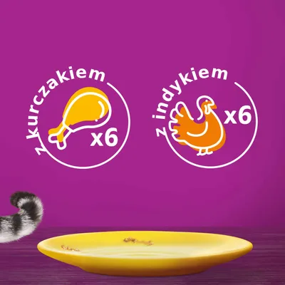 Z kurczakiem x6, z indykiem x6 – grafiki przedstawiające liczbę porcji lub opakowań z kurczakiem i indykiem na fioletowym tle. Widać ogon kota i pusty żółty talerz.