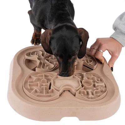 Hund nosar på beige aktivitetsbräda i plast med labyrintmönster, en hand håller i brädan. Ingen synlig text eller varumärke.