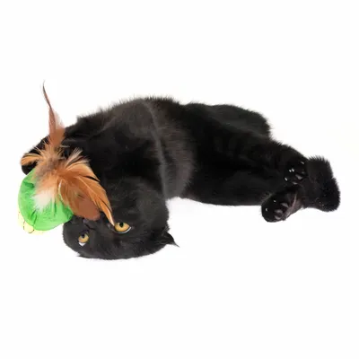 Gatto nero che gioca con un gioco verde decorato con piume marroni.