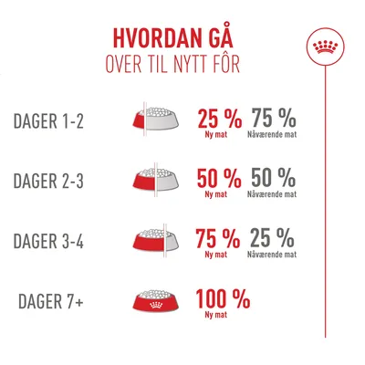 Royal Canin Fussy Exigent