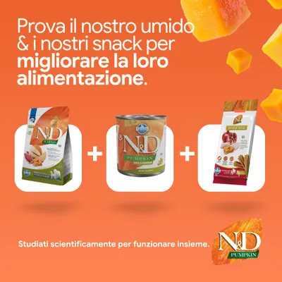 N&D Pumpkin crocchette, alimento umido e dental treat. Sviluppato scientificamente per una nutrizione migliorata. N&D Pumpkin crocchette, alimento umido e dental treat. Sviluppato scientificamente per una nutrizione migliorata.