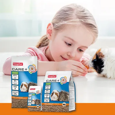 Beaphar Care+ guinea pig food, 21% protein, 0% sugar, with vitamin C and dental care. Packaging in three sizes visible.