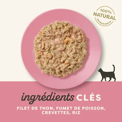 Applaws Cat Natural in Brühe 12 x 70 g - Thunfisch mit Pazifik-Garnelen