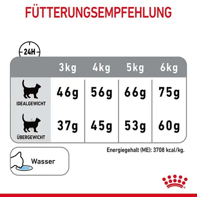 Tableau d’alimentation pour chats : poids 3–6 kg, quantités recommandées en allemand selon poids idéal ou surpoids. Eau indiquée. Énergie : 3708 kcal/kg. Texte en allemand.