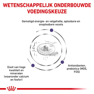 Wetenschappelijk onderbouwde voedingskeuze: gematigd energie- en vetgehalte, oplosbare en onoplosbare vezels, eiwit van hoge kwaliteit, mineralen (calcium, fosfor), antioxidanten, prebiotica (MOS, FOS).