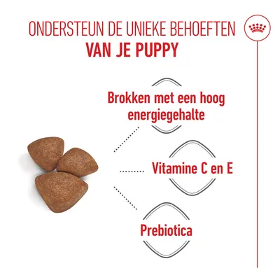 Royal Canin Mini Starter Mother & Babydog Hondenvoer