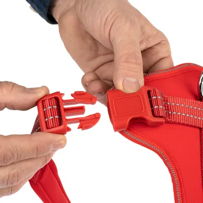 Rødt sikkerhedslåsesystem på en hundesele, vist med hænder der åbner og lukker clipsen.
