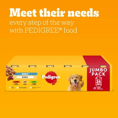 Pedigree Adult in Jelly Jumbo Pack, 24 x 385g cans. Includes beef, chicken, and lamb varieties. 100% recyclable packaging. Text: Meet their needs every step of the way with Pedigree food.