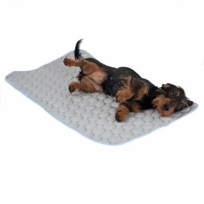 Pies leży na szarej, pikowanej macie o strukturze plastra miodu.