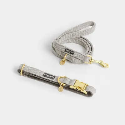 Nomad Tales Hundeleine und Halsband aus grauem Stoff mit goldfarbenen Metallverschlüssen und Anhängern.