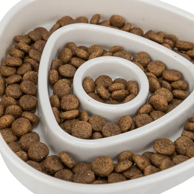 Close-up of a white anti-gulp bowl with brown dry food pieces, spiral structure for slow feeding.