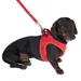 TIAKI Mesh Dog Lead - Red