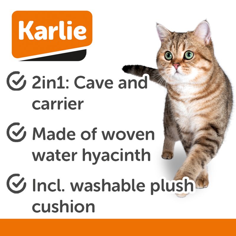 Karlie Salus szállítókosár