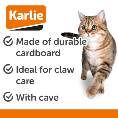 Karlie škrabací kukaň Telly