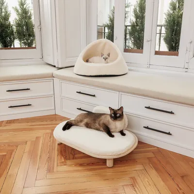 Two cats on modern white furniture: one in a cosy cave bed, the other on a padded lounger. Both pieces with soft padding.