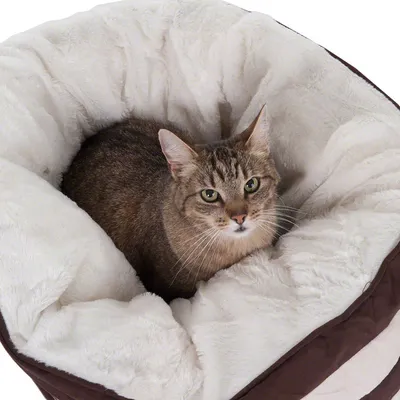 Braun-graue Katze liegt in einem runden, weissen Plüschbett mit braunen Aussenwänden.
