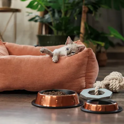 Katzenbett in orange, Futternäpfe aus Kupfer mit Trockenfutter und Spielzeug aus Seil. Katze liegt entspannt im Bett.